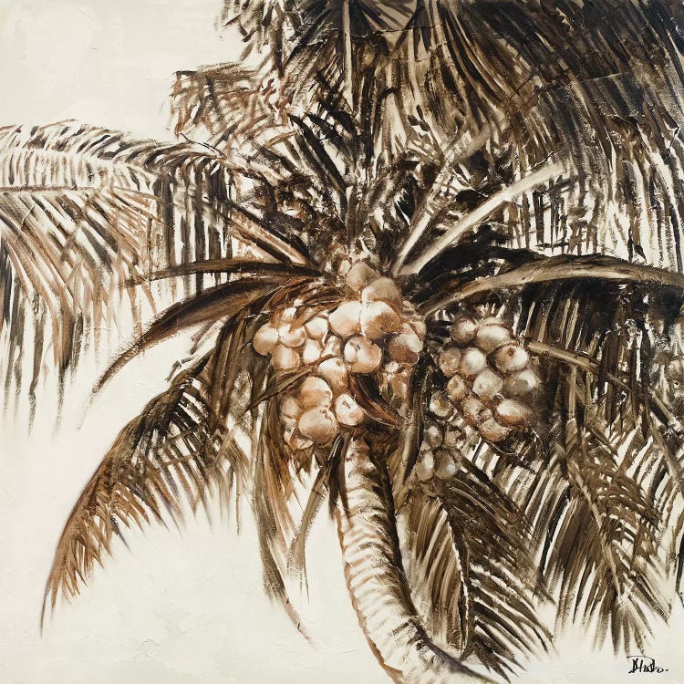 Coconut Palm I by Patricia Pinto wall art