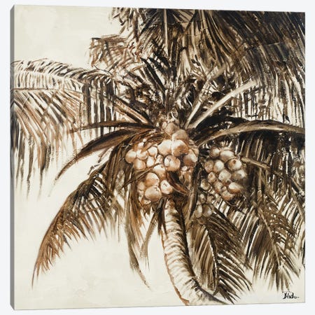 Coconut Palm I Canvas Print #PPI419} by Patricia Pinto Art Print