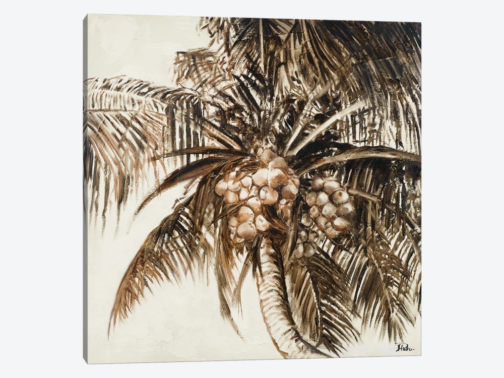 Coconut Palm I by Patricia Pinto 1-piece Canvas Art