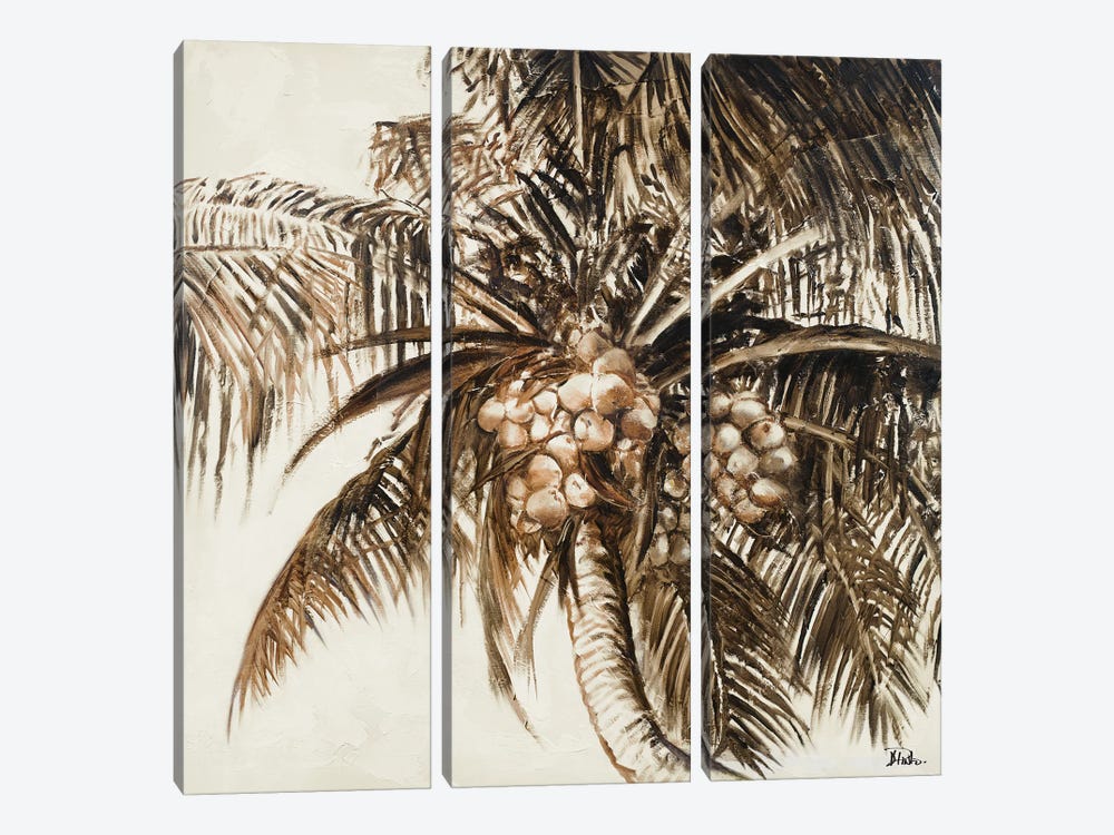 Coconut Palm I by Patricia Pinto 3-piece Canvas Artwork