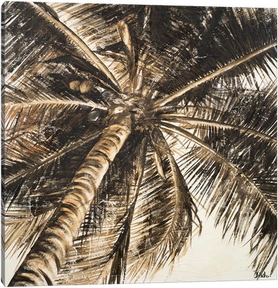 Coconut Palm II Canvas Art Print - Patricia Pinto