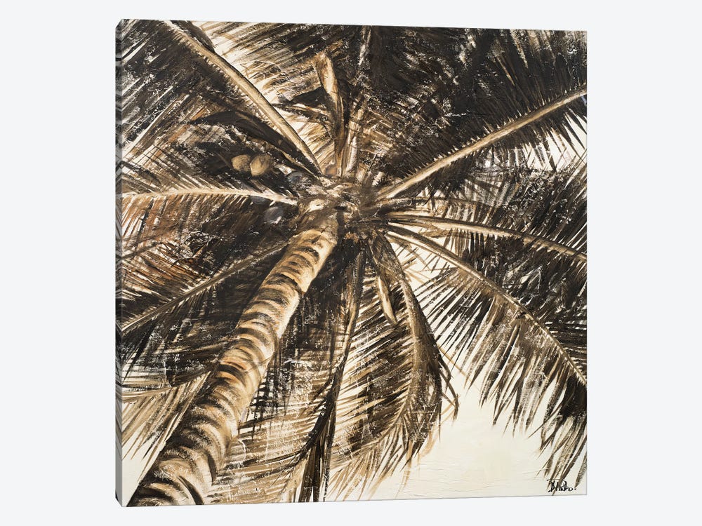 Coconut Palm II by Patricia Pinto 1-piece Canvas Art