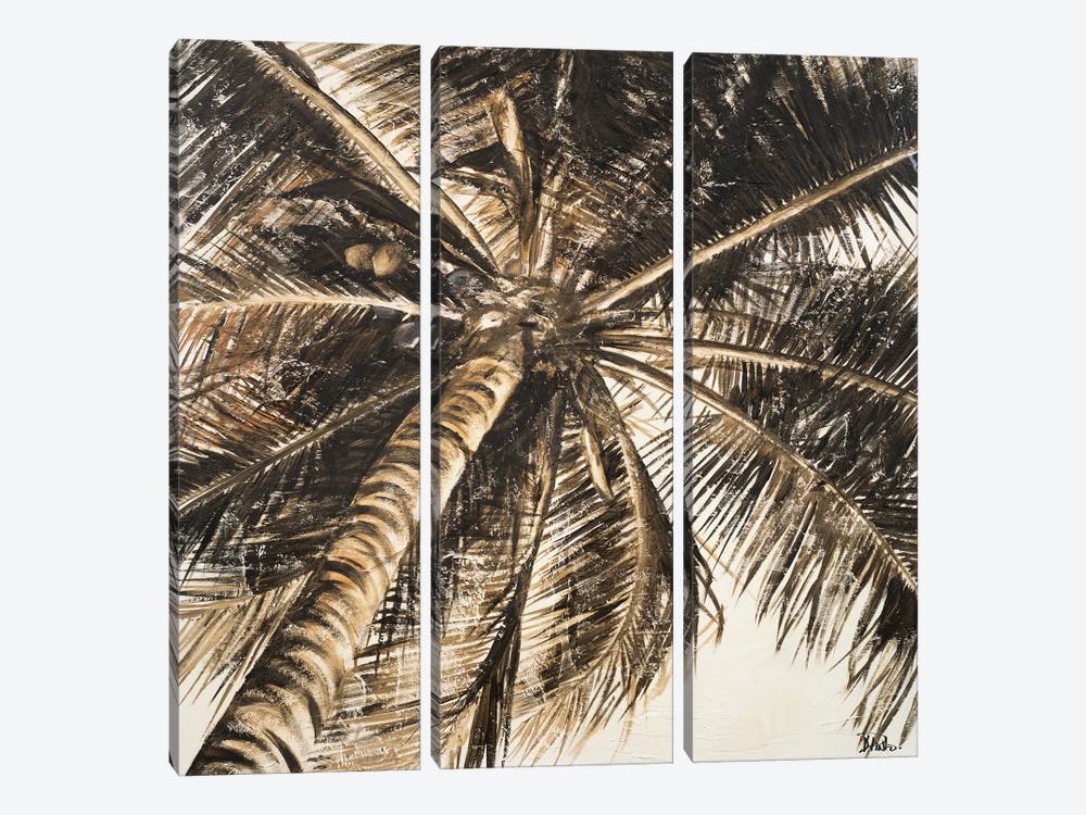 Coconut Palm II by Patricia Pinto 3-piece Canvas Wall Art
