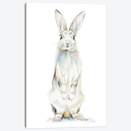 Cute Rabbit Canvas Print #PPI422} by Patricia Pinto Canvas Wall Art