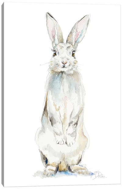 Cute Rabbit Canvas Art Print - Patricia Pinto