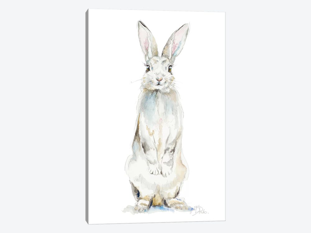 Cute Rabbit by Patricia Pinto 1-piece Canvas Wall Art