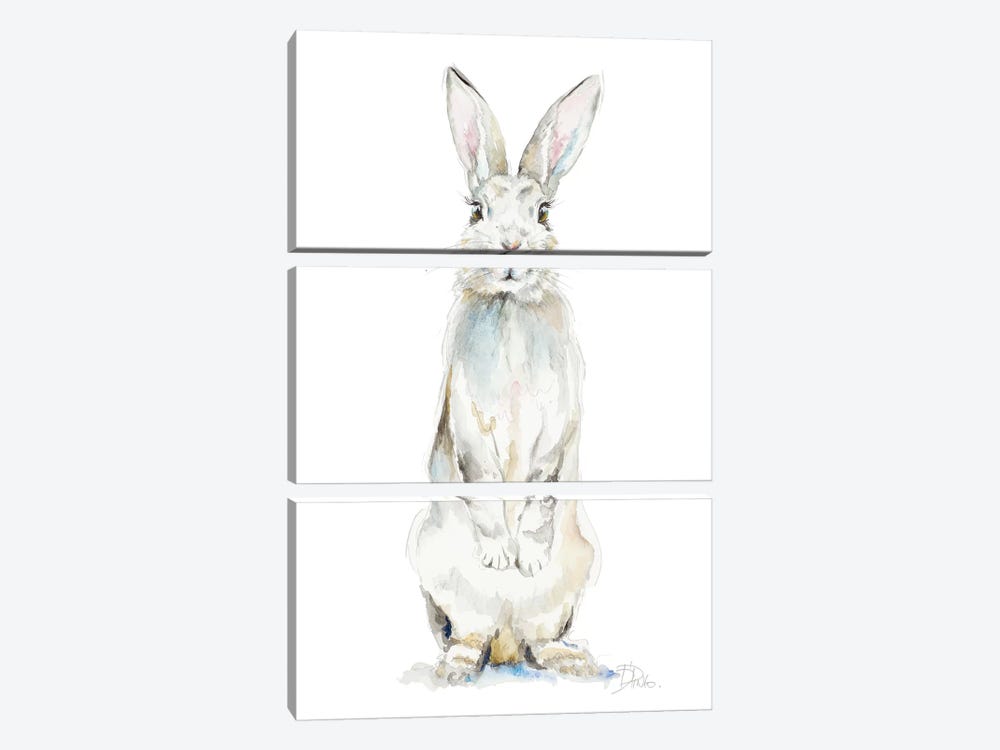 Cute Rabbit by Patricia Pinto 3-piece Canvas Wall Art