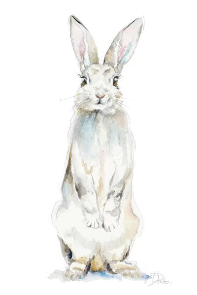 Rabbits: Cute Rabbit by Patricia Pinto