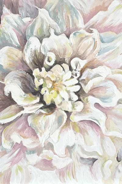 Dahlias: Dahlia by Patricia Pinto