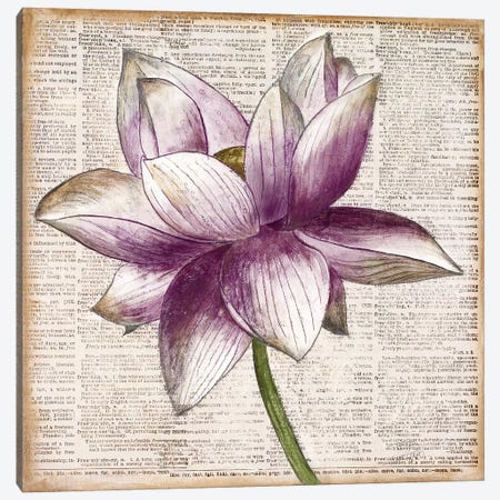 Defined Lotus I Canvas Print #PPI424} by Patricia Pinto Art Print