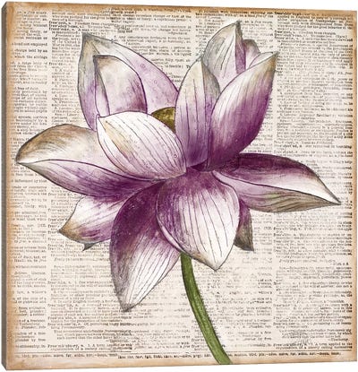 Defined Lotus I Canvas Art Print - Lotus Art