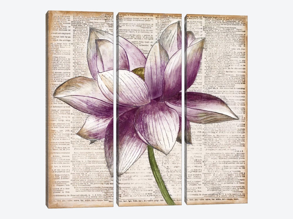 Defined Lotus I by Patricia Pinto 3-piece Canvas Wall Art
