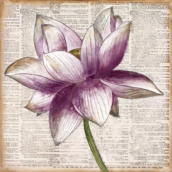 Lotuses: Defined Lotus I by Patricia Pinto