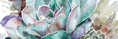 Desert Flower by Patricia Pinto multi panel art