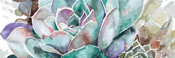 SunDance Group: Desert Flower by Patricia Pinto