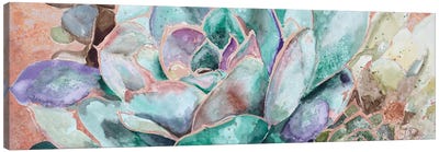 Desert Flower On Terra Cotta Canvas Art Print - Patricia Pinto