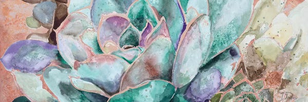 SunDance Group: Desert Flower On Terra Cotta by Patricia Pinto