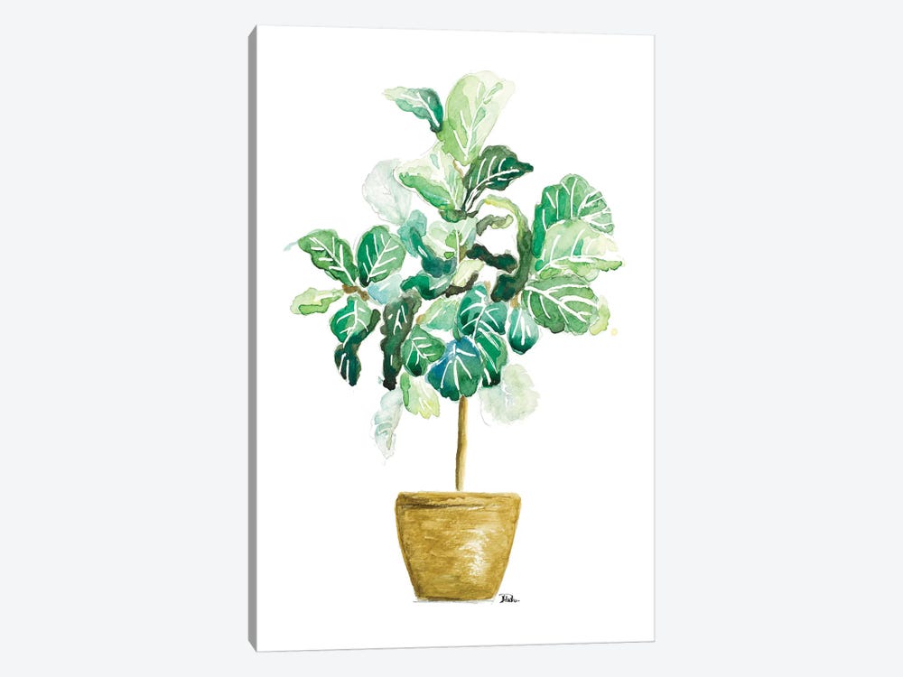 Fig Plant by Patricia Pinto 1-piece Art Print
