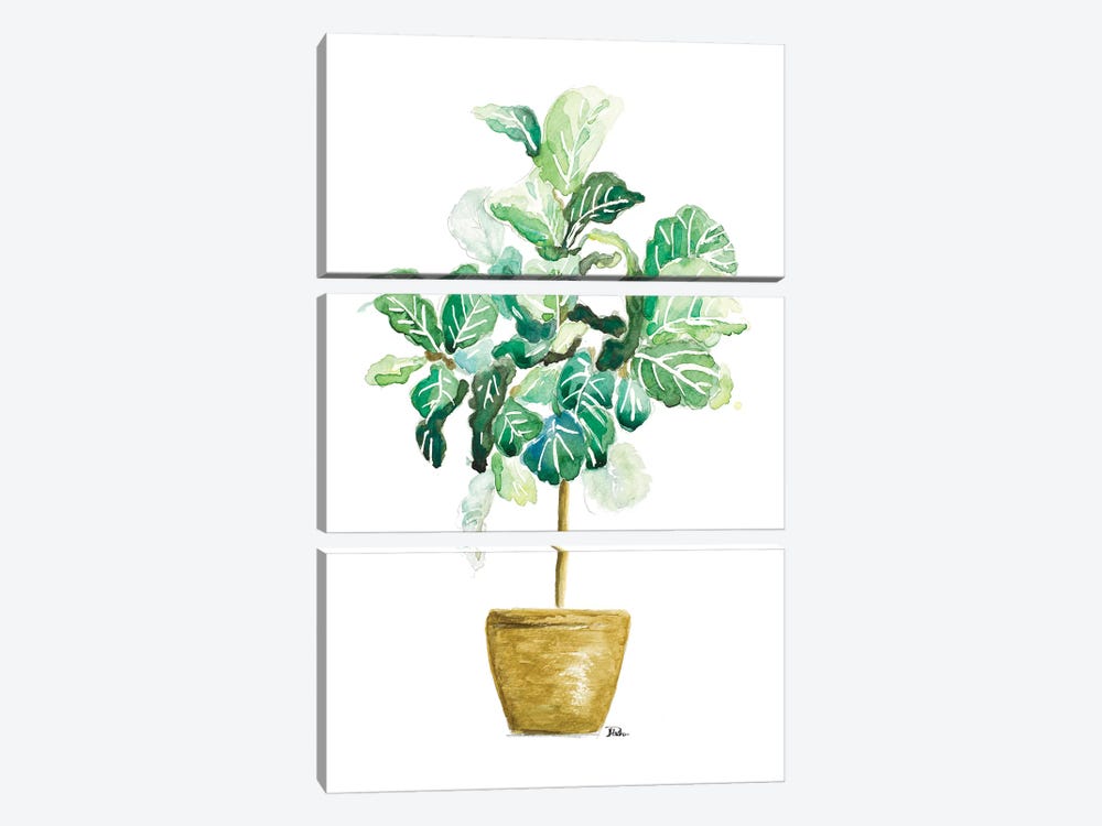 Fig Plant by Patricia Pinto 3-piece Canvas Print