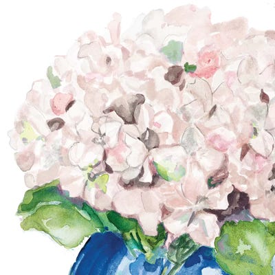 Fresh Pink Flower by Patricia Pinto canvas print