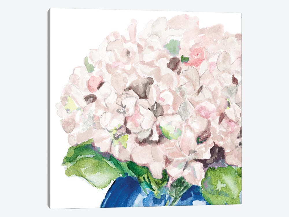 Fresh Pink Flower by Patricia Pinto 1-piece Canvas Print