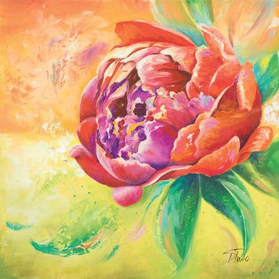 Beautiful Bouquet of Peonies II by Patricia Pinto canvas print