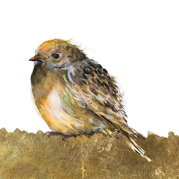 Gold Bird by Patricia Pinto wall art