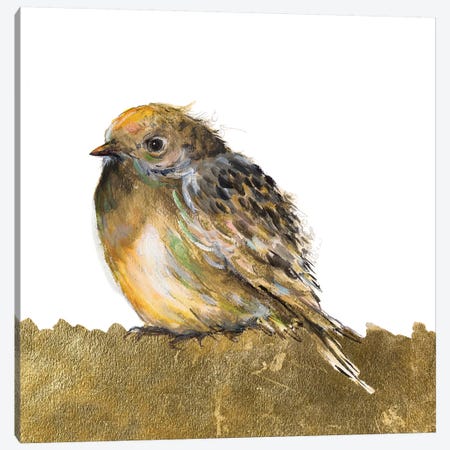 Gold Bird Canvas Print #PPI453} by Patricia Pinto Art Print