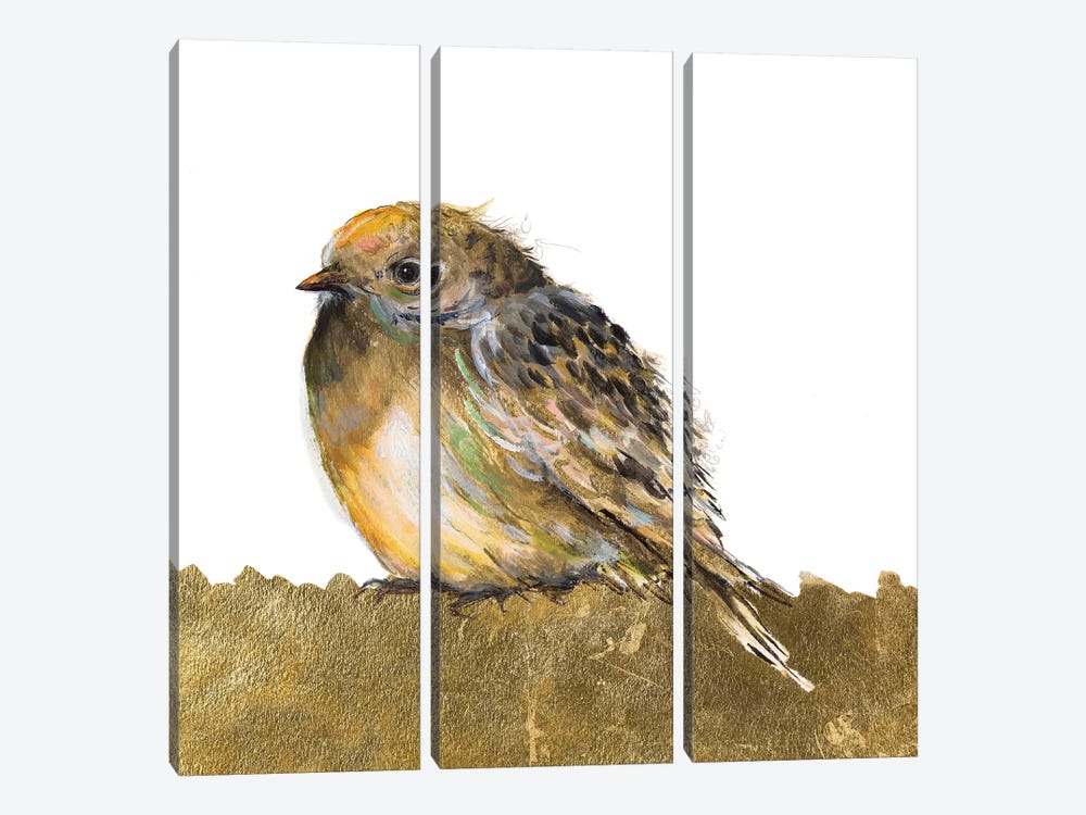 Gold Bird by Patricia Pinto 3-piece Canvas Art
