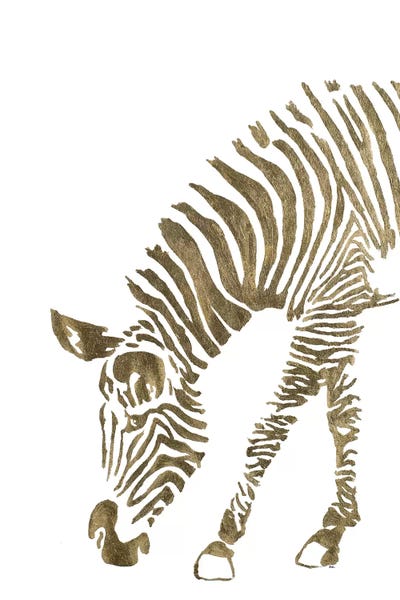 Gold Zebra by Patricia Pinto art print