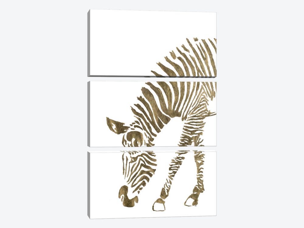 Gold Zebra by Patricia Pinto 3-piece Canvas Print