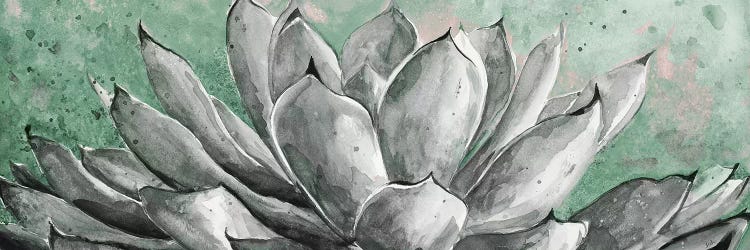 Gray Agave On Green