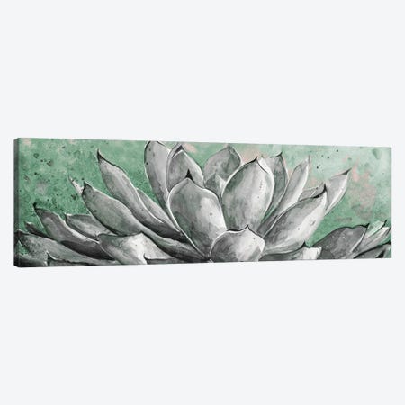 Gray Agave On Green Canvas Print #PPI457} by Patricia Pinto Canvas Art