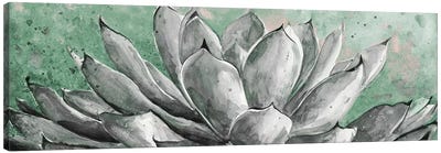 Gray Agave On Green Canvas Art Print - Patricia Pinto