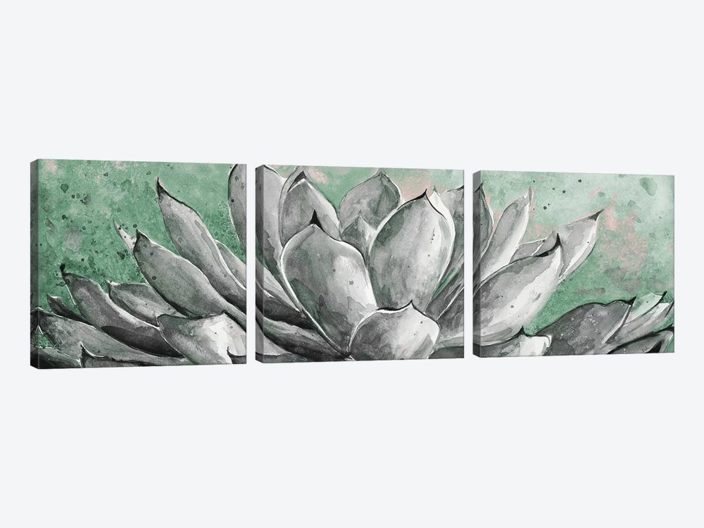 Gray Agave On Green by Patricia Pinto 3-piece Canvas Wall Art