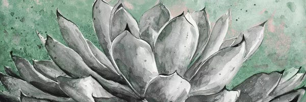 Succulents: Gray Agave On Green by Patricia Pinto