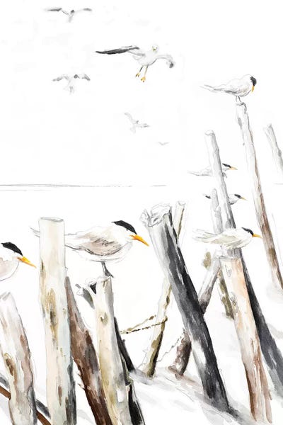 Gull Point by Patricia Pinto framed canvas print