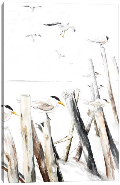 Gull Point Canvas Art Print - Gull & Seagull Art
