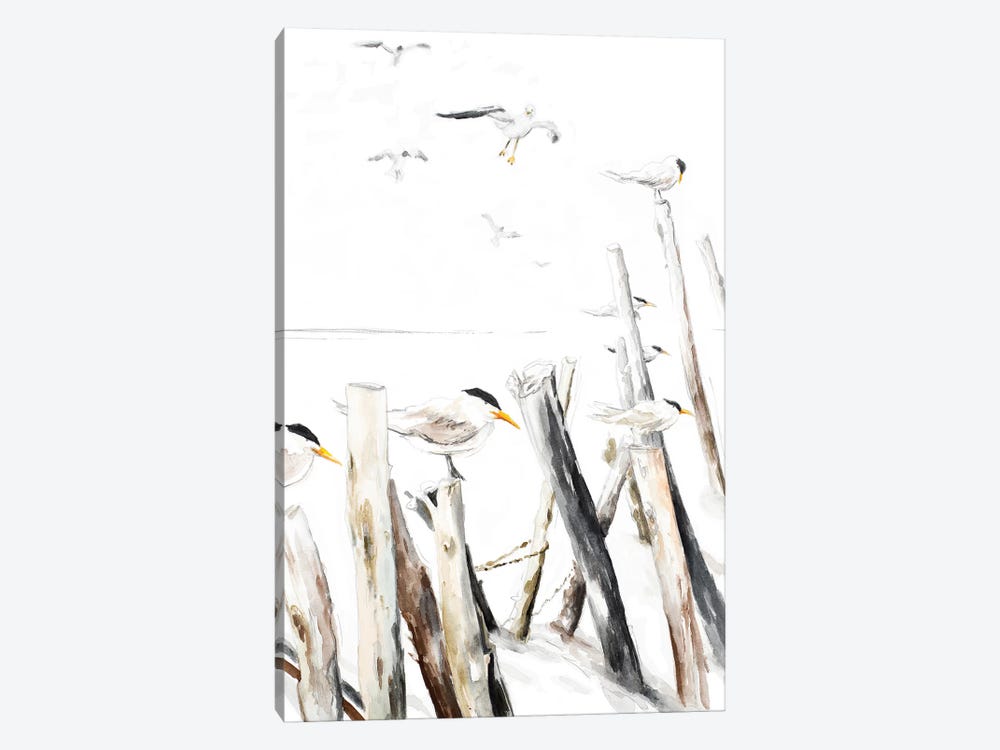 Gull Point by Patricia Pinto 1-piece Canvas Print