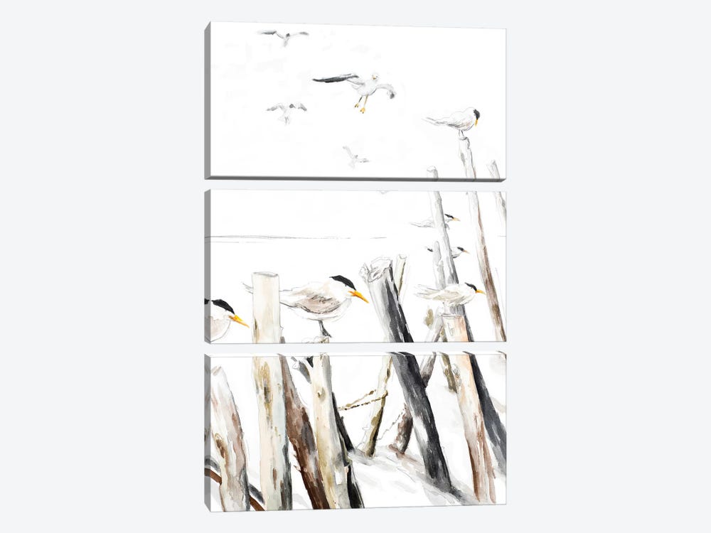 Gull Point by Patricia Pinto 3-piece Art Print