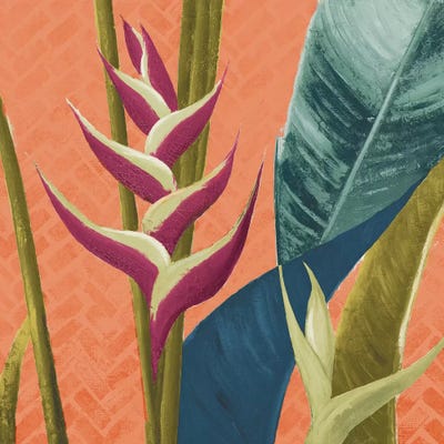 Heliconias With Leaves On Orange by Patricia Pinto canvas print