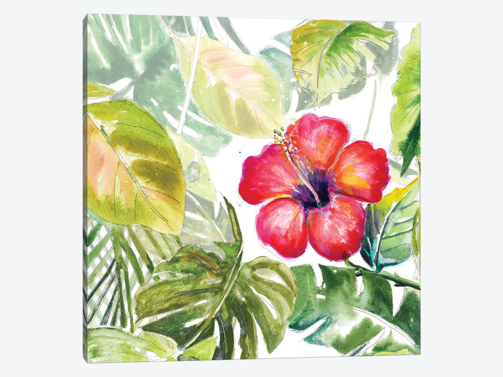 Hibiscus On Selva by Patricia Pinto 1-piece Canvas Art