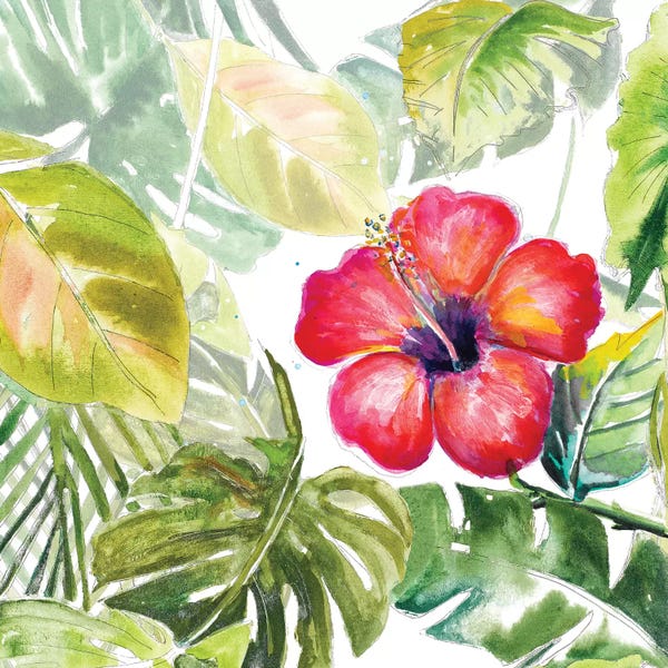 Patricia Pinto: Hibiscus On Selva by Patricia Pinto