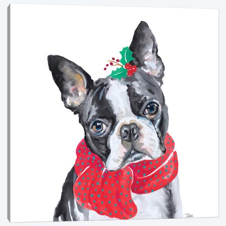 Holiday Dog II Canvas Print #PPI464} by Patricia Pinto Art Print