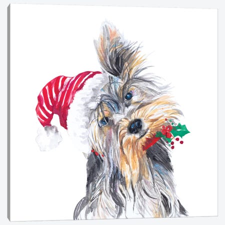 Holiday Dog III Canvas Print #PPI465} by Patricia Pinto Canvas Print