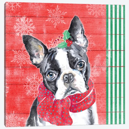 Holiday Puppy II Canvas Print #PPI468} by Patricia Pinto Canvas Art
