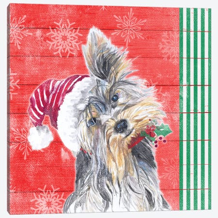 Holiday Puppy III Canvas Print #PPI469} by Patricia Pinto Canvas Artwork