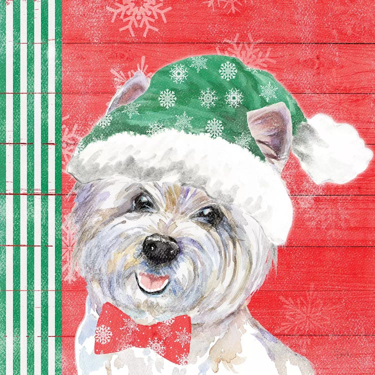 Holiday Puppy IV by Patricia Pinto wall art
