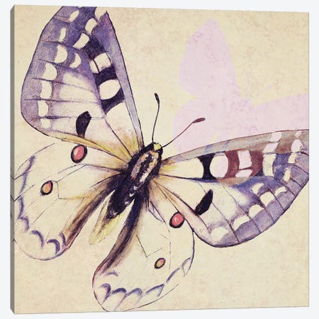 Lavender Butterfly On Cream Canvas Print #PPI479} by Patricia Pinto Art Print