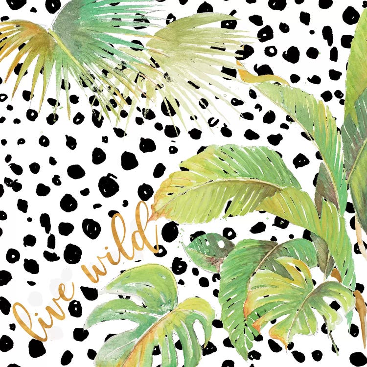 Live Wild by Patricia Pinto wall art